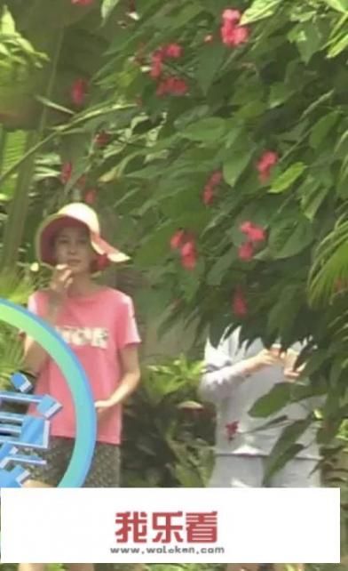 杨颖再曝大瓜，黄教主如何自处，你们怎么看？