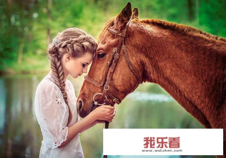 艺术上，“图案画”有什么作用？它有哪些表现手法？