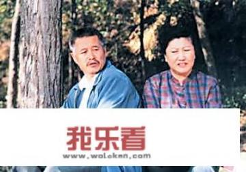 刘老根演员表？
