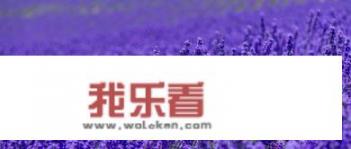 薰衣草代表什么象征意义？