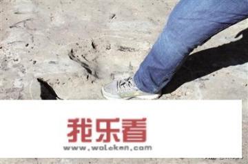 玄鸟到底是什么鸟？商朝人为什么拜玄鸟，自称是玄鸟后人？