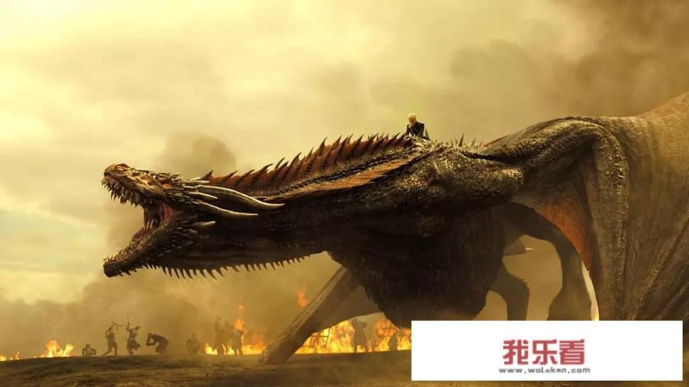 为什么甄嬛传豆瓣评分没有琅琊榜高？