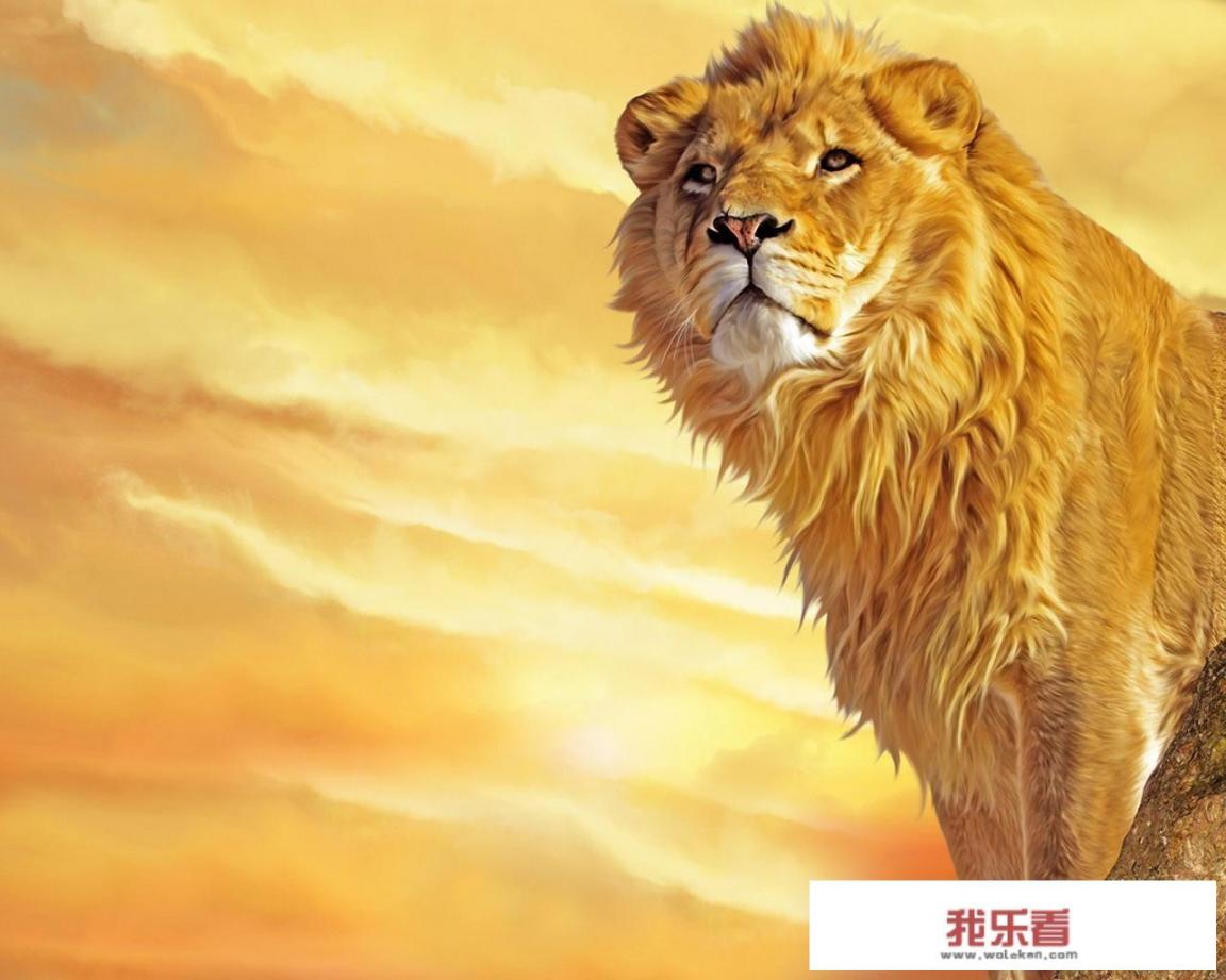 中国有没有狮子？如果没有，狮子这个字是什么时候出现的？