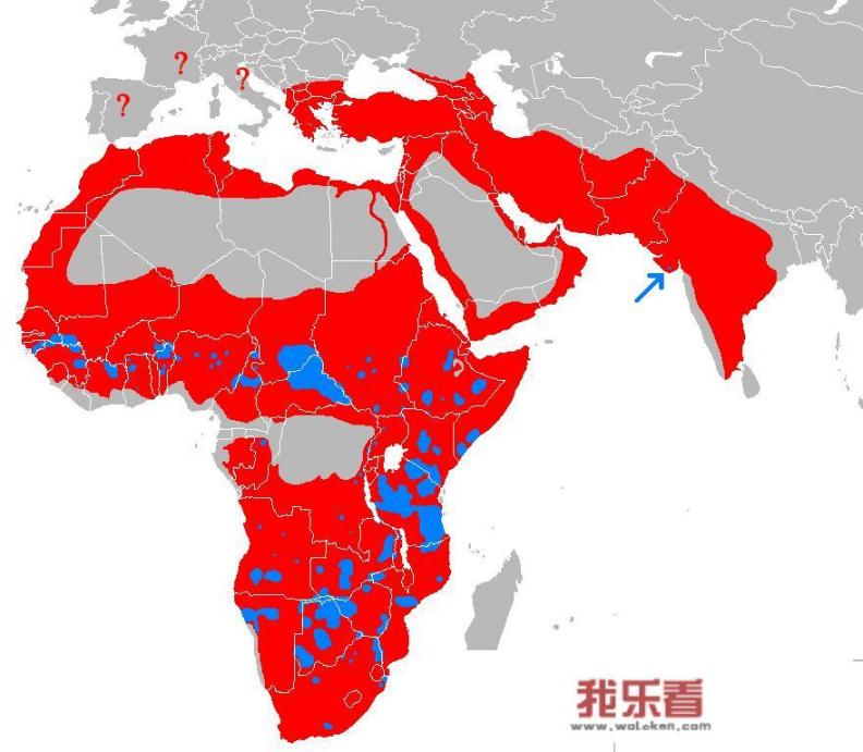 中国有没有狮子？如果没有，狮子这个字是什么时候出现的？