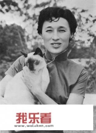 第二届“海外华文文学上海论坛”召开，海外有哪些有名的华语作家？