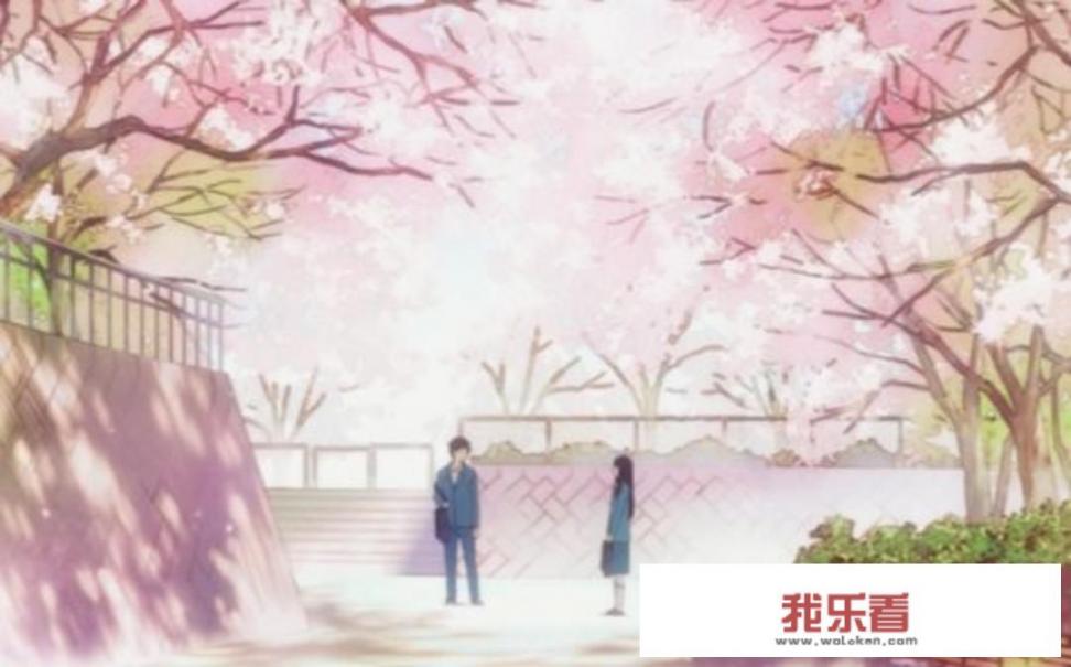 在你看过的动漫中，有哪些关于樱花的场景让你印象深刻？