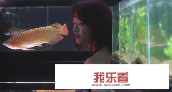 如何评价电影冰冷热带鱼？