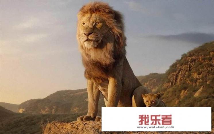 豆瓣评分9.0，《狮子王》经典流传，辛巴是如何成为森林之王的？