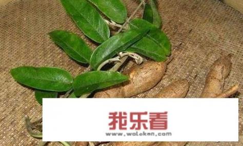 中药名网名三字？