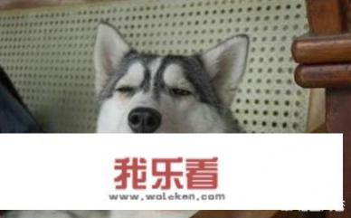 时代珍藏一二三四套金砖值得买吗？
