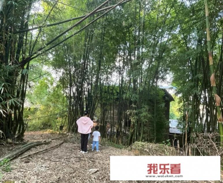如果疫情防控终于放开了，2023年元旦放假怎么安排？