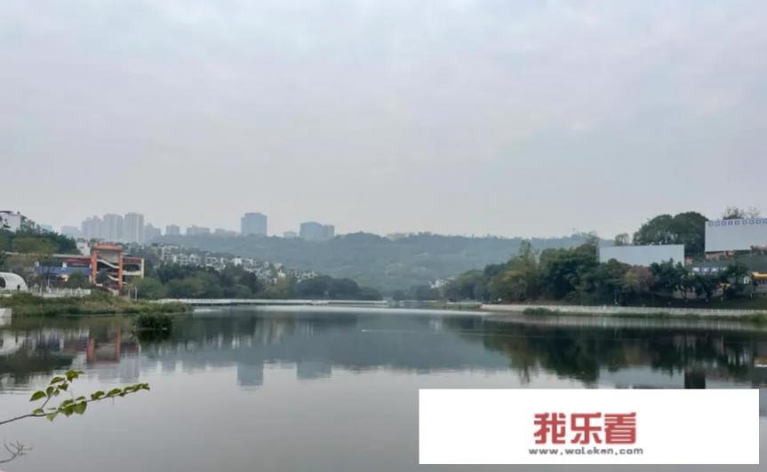 如果疫情防控终于放开了，2023年元旦放假怎么安排？