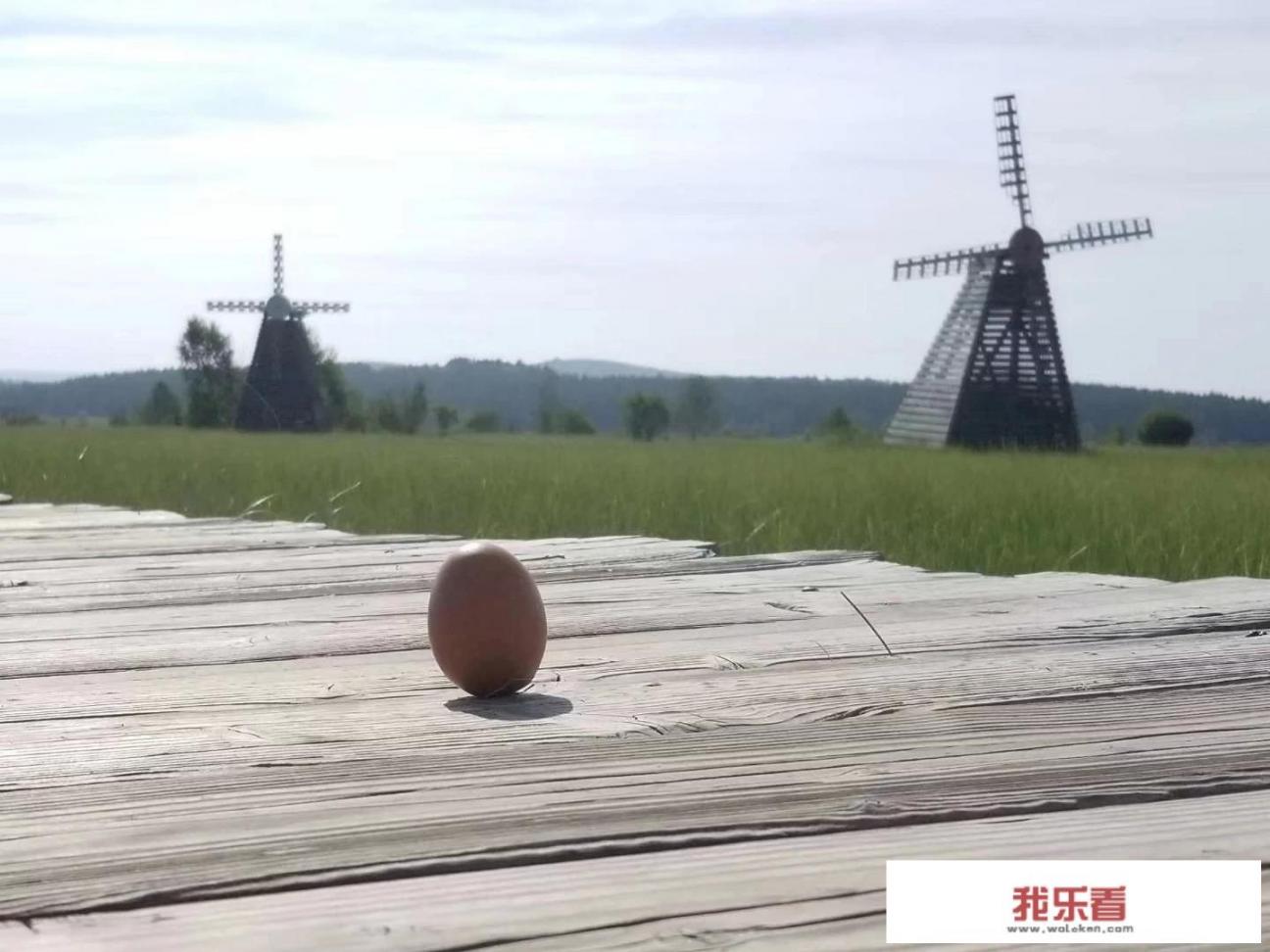 有的省份每年艺考都有成群的“三点式”美女进考场？你怎么看？