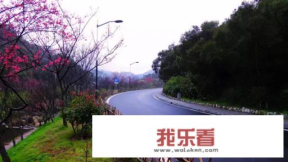 鼓浪屿转角遇到爱拍的电视剧？