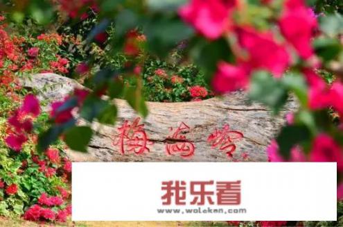 鼓浪屿转角遇到爱拍的电视剧？