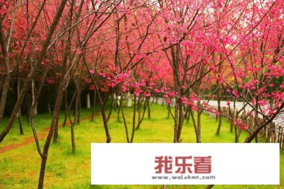 鼓浪屿转角遇到爱拍的电视剧？