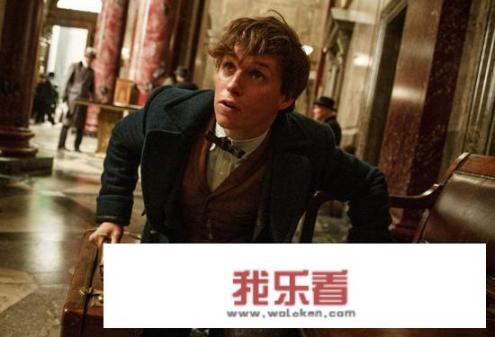 神奇动物在哪里和哈利波特有什么关系？