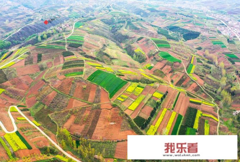 普罗旺斯代表什么？