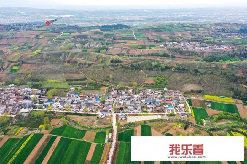 普罗旺斯代表什么？