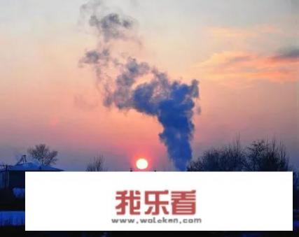 谁知道《甜蜜的梦》的歌词？