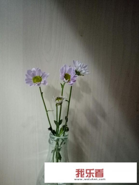 有趣的灵魂一年两审 好看的皮囊手续不详什么意思？