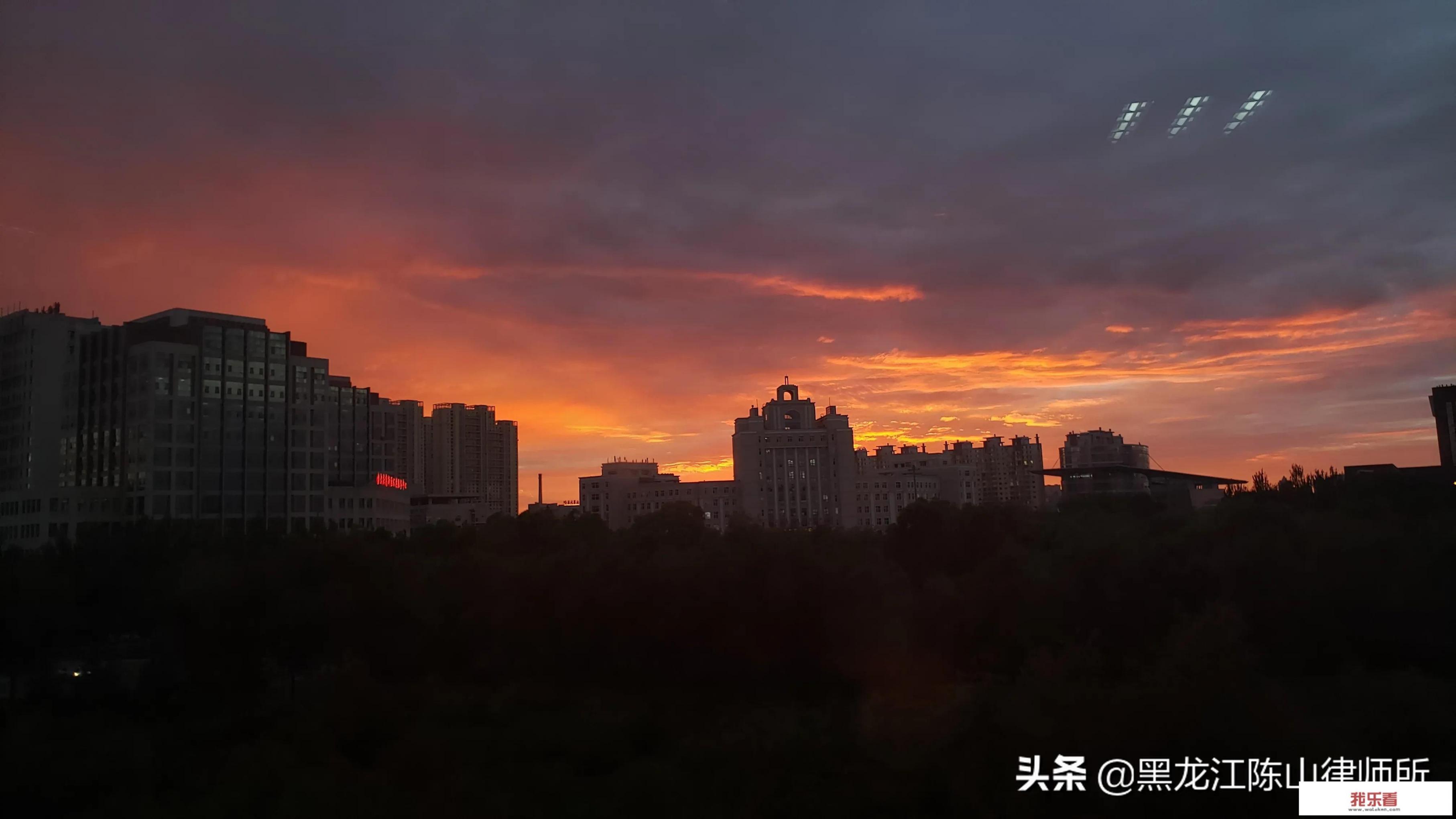 为什么狗遇到收狗杀狗的人会怂？是感受到杀狗人身上的戾气了吗？