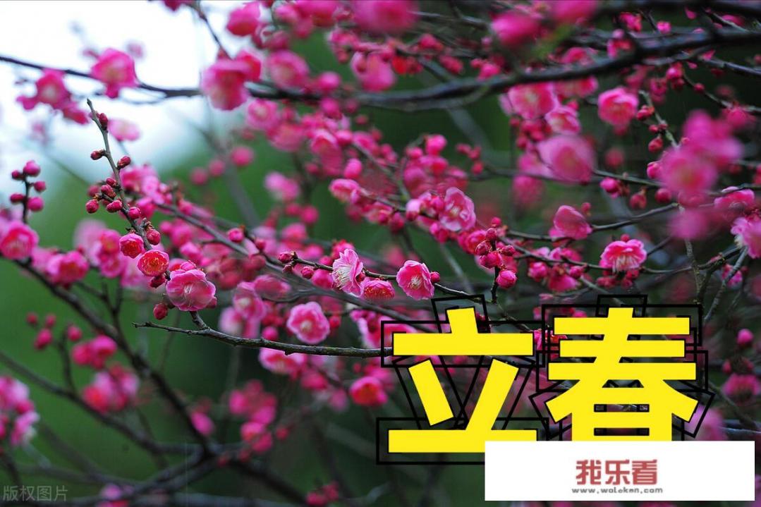 “春打五九尾，家家迈不开腿”，2022年立春在五九尾还是六九头？