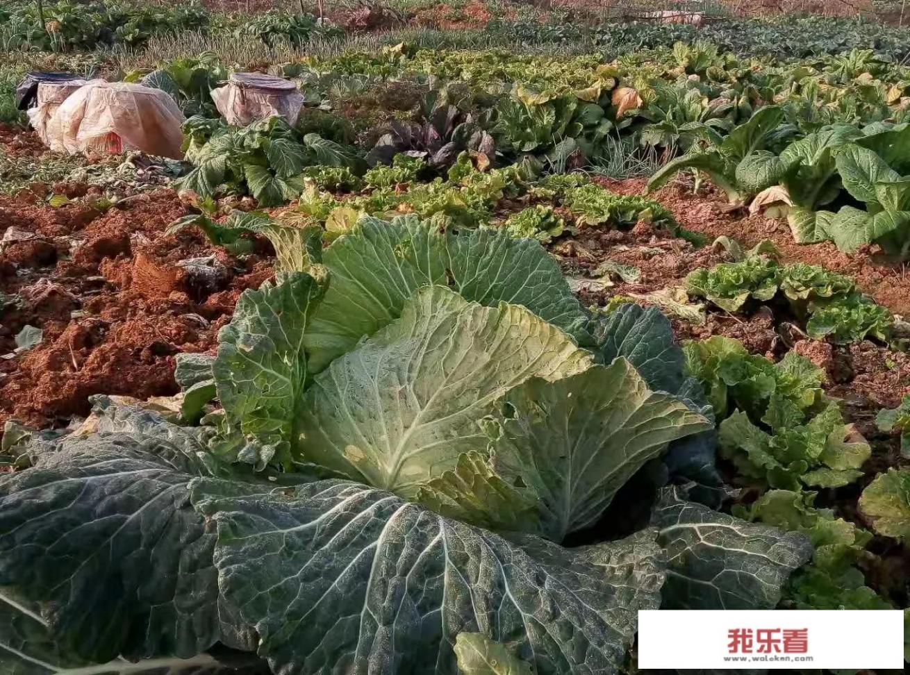 ps如何让两张图片自然融合？