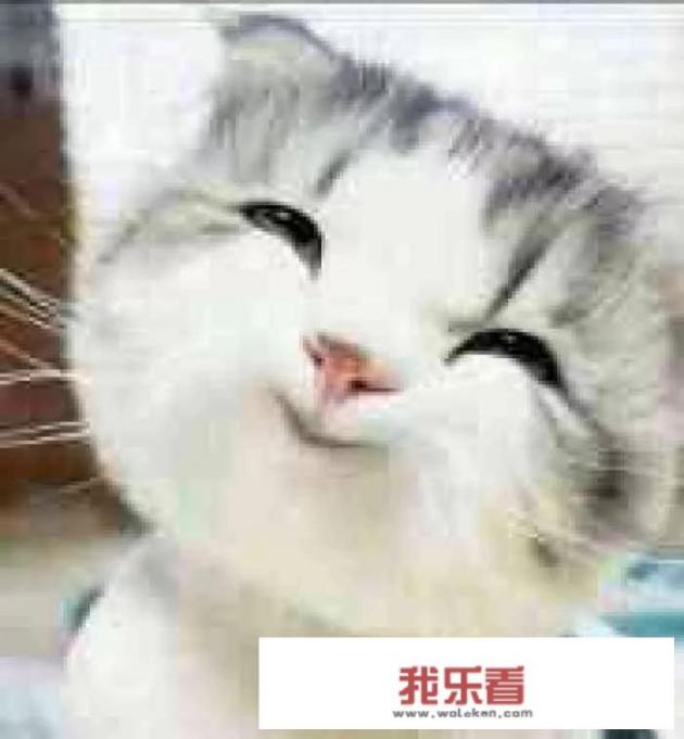 微笑，最美的语言。分享一下你拍的最美微笑图片？