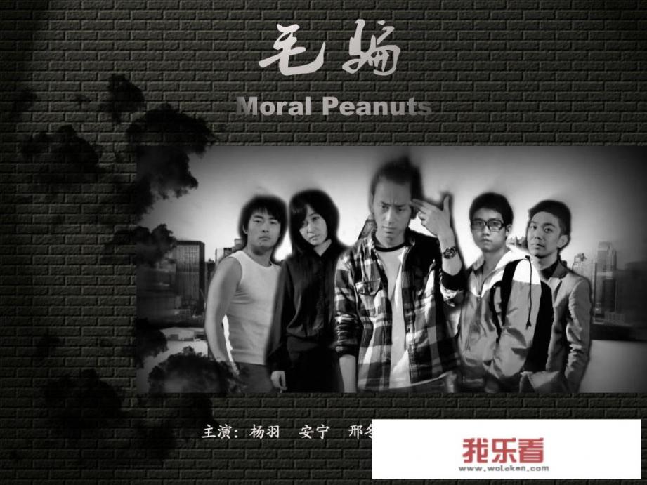 毛骗主演还演过什么？