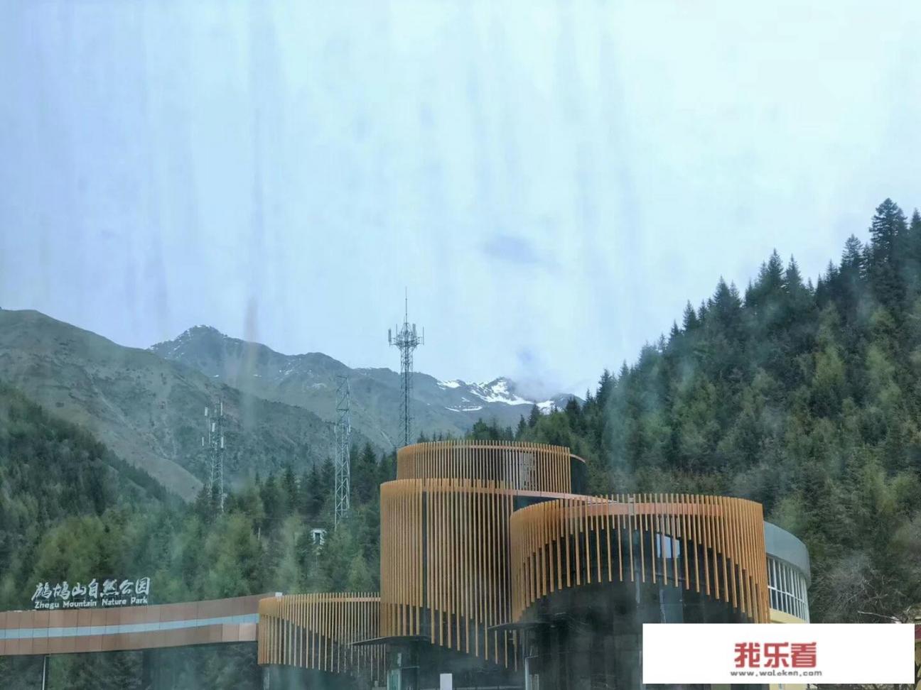 你在旅行中拍摄过哪些又逗又好玩的照片？敢不敢分享一下？