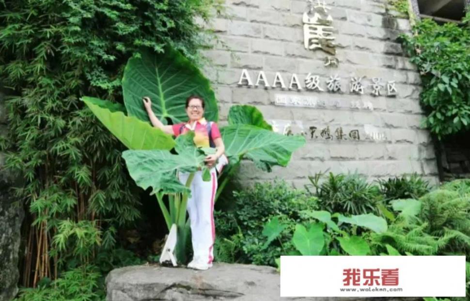 最近种草了游轮出行，有去过的亲能给详细介绍一下吗？游轮到底好不好玩？