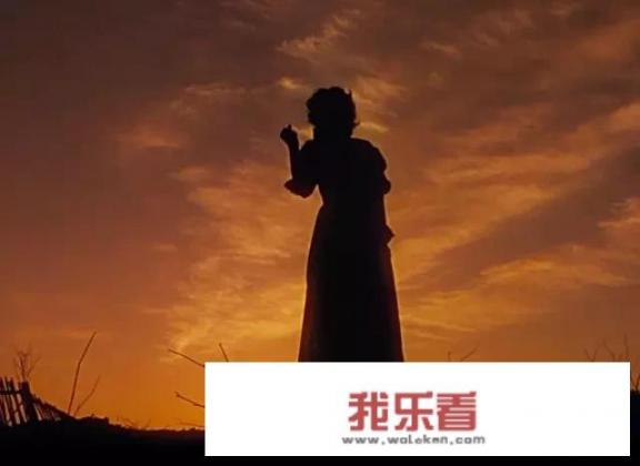 飘主要内容？