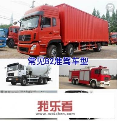 b2驾驶证都能来开什么车？