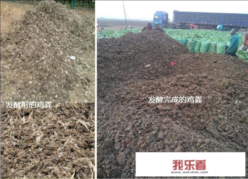 gec上传环保照片怎么搞？