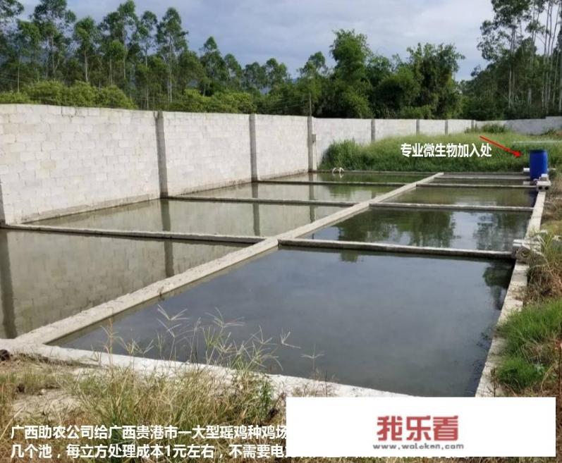 gec上传环保照片怎么搞？