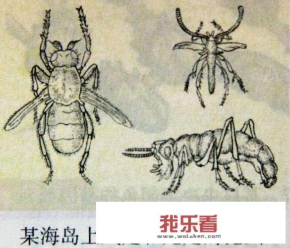 同性恋是一种什么样的感情？