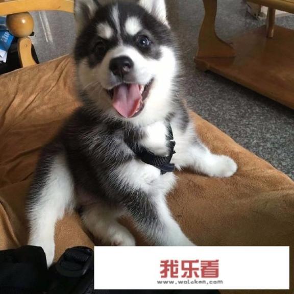 分析与评价的区别？