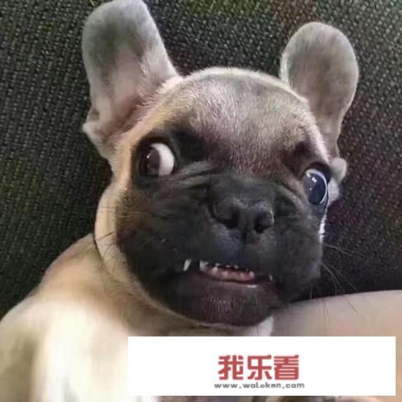 分析与评价的区别？