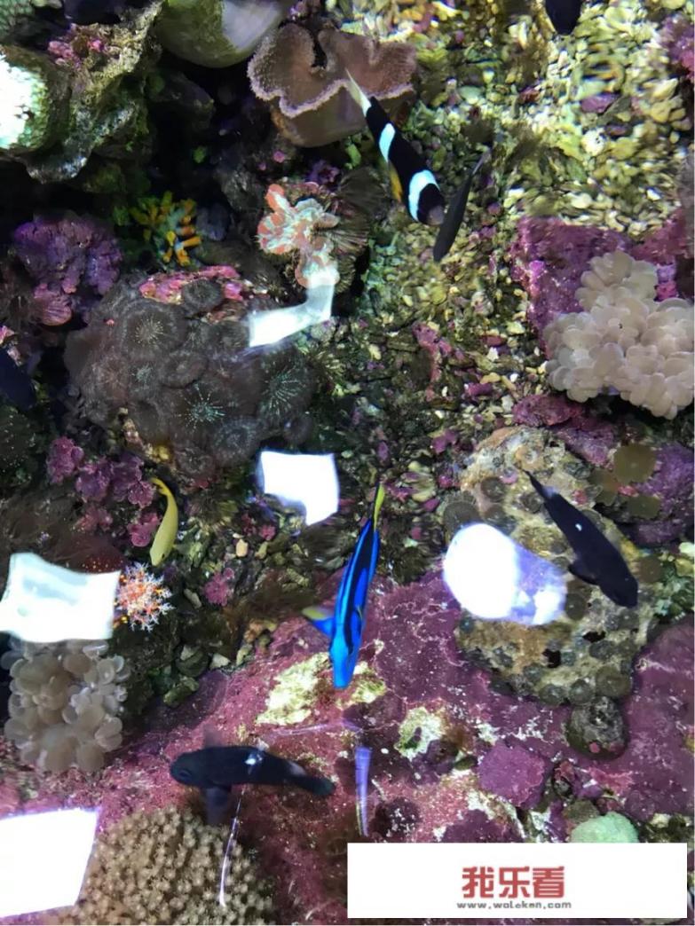 杭州海洋海底世界哪里好玩？