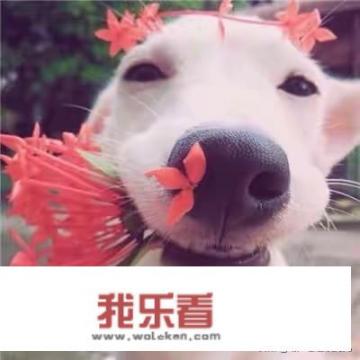 如何对孩子进行性教育？