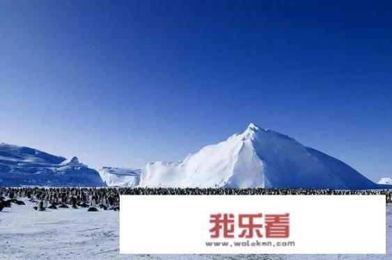 地球脉动第一季解说词？