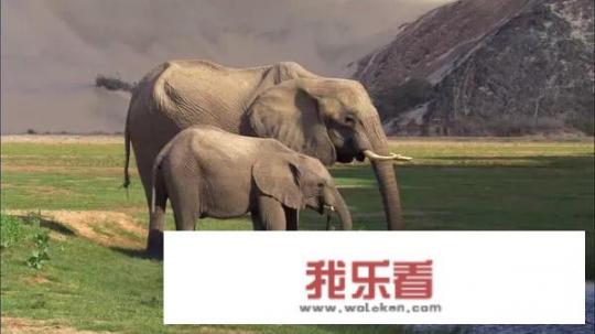 地球脉动第一季解说词？