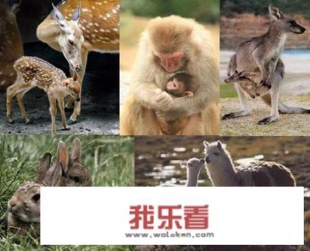 国庆节大家都去那里玩了？都吃什么好吃的了？把图片分享出来，让大家看看吧？