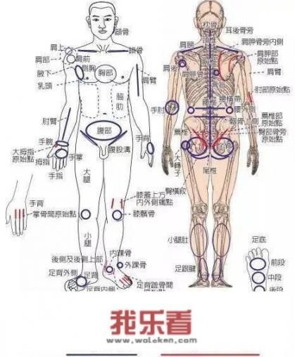 人体的各部分名称（图)？