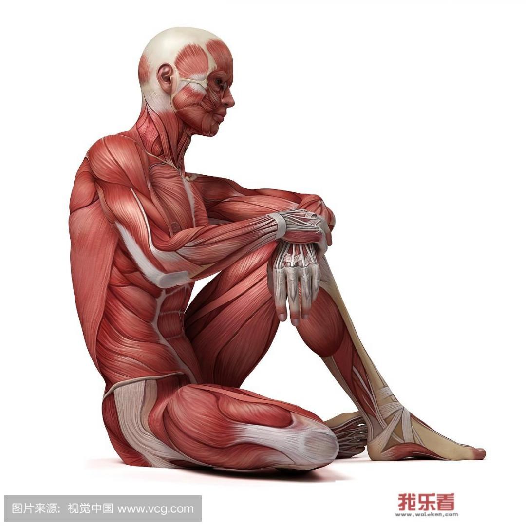 为什么有人说“油画裸体是艺术，照片裸体就是淫秽”？什么才是真正的艺术？