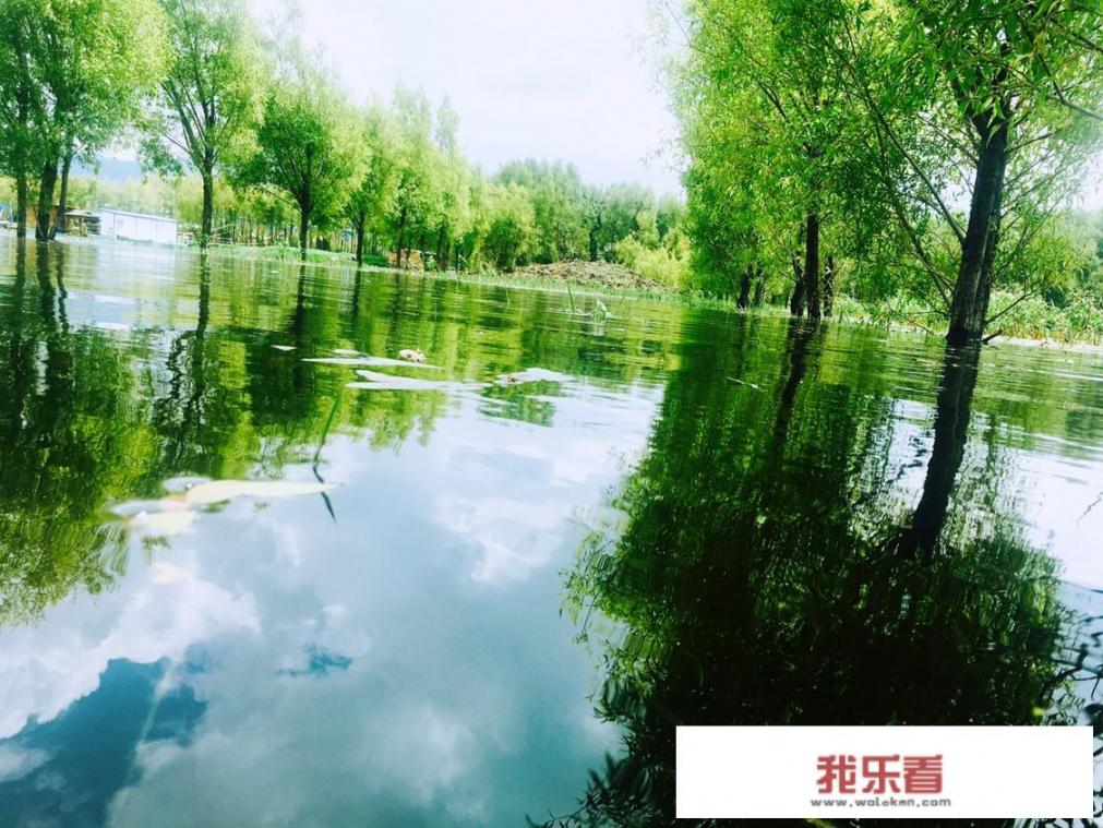 丽江拉市海怎么样？