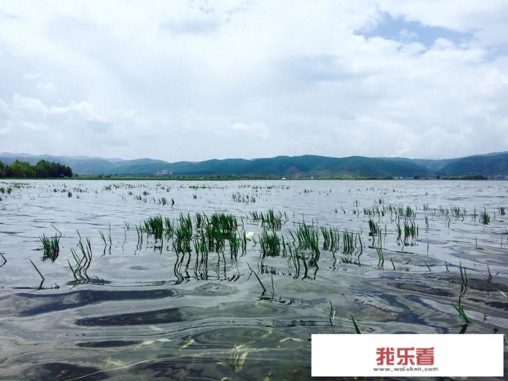 丽江拉市海怎么样？