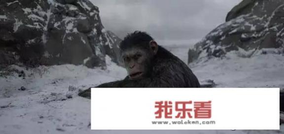 《猩球崛起》这部电影好看吗，有什么特点？