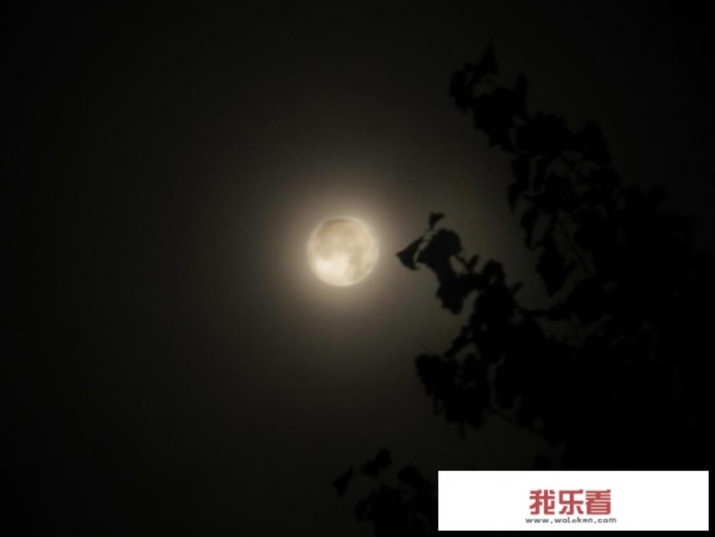 各地网友，晒下中秋节拍到月亮的照片，要真实？